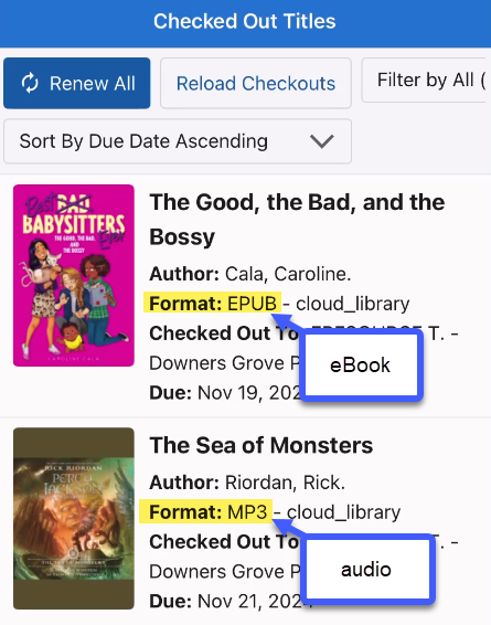 A screenshot of My Account in Aspen with an eBook and format hightlighted and an eAudio and format highlighted