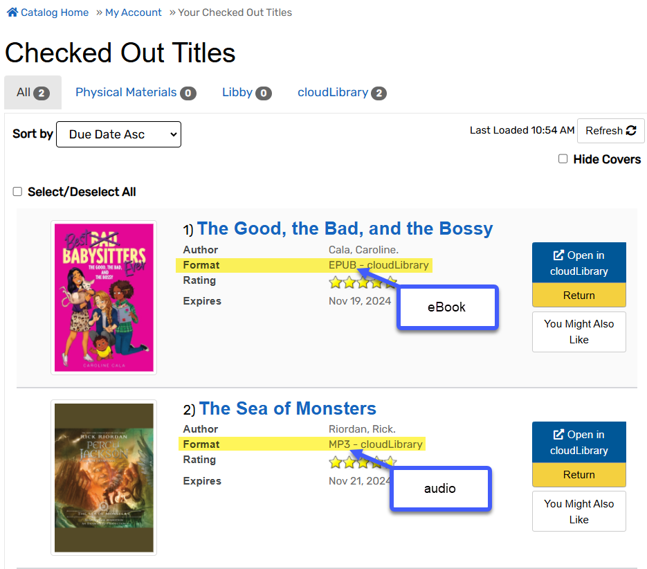 A screenshot of Aspen with an eBook listed and its format highlighted. An eAudio is also listed and its format is also highlighted.