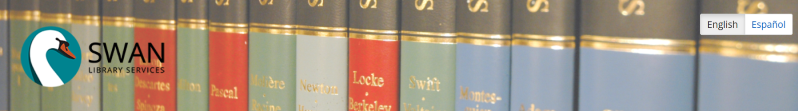 example of a large background image in the catalog header