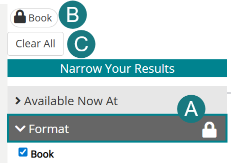 applied filters in the catalog, showing the lock icon and clear all options
