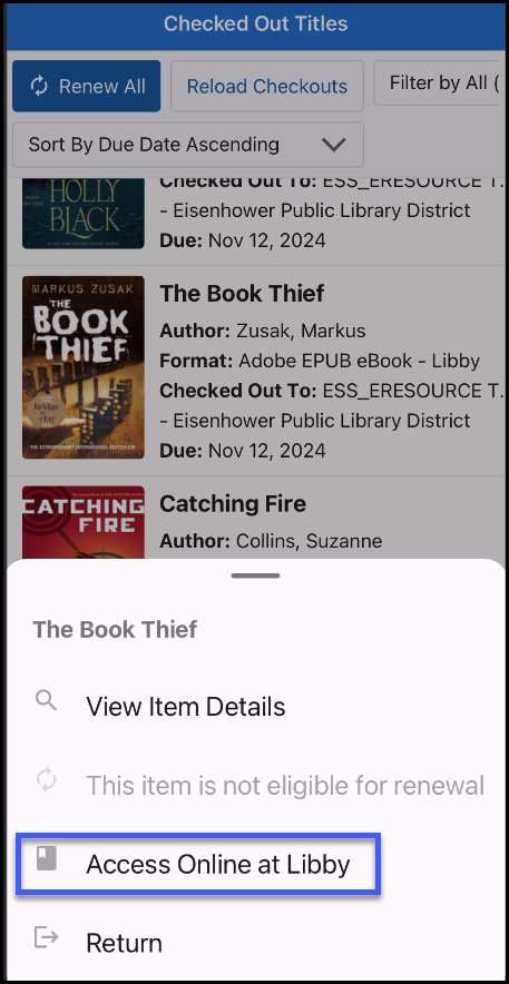 Screenshot of Checked Out Titles in the SWAN+ app with several options available for a title. The options are View Item Details, Access Online at Libby, and Return. Access Online at Libby is highlighted.