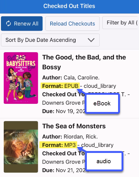 Screenshot of Checked Out Titles from the SWAN+ app with Format highlighted and an arrow indicating eBook and audio.